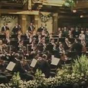 Vienna Walzer Orchestra Stürmisch In Lieb Und Tanz Polka Schnell Op 393