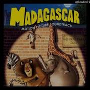 Madagascar Instrumental