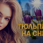 Тюльпаны На Снегу Club Music Party Wlv Все Звезды Танцпола Party Dance Под Ритм Сердец Тюльпаны На Снегу Club Music Party Wlv