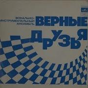 Виа Верние Друзья