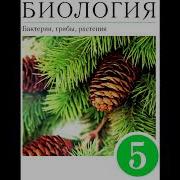 Параграф 22 Биология 5 Класс Голосемянные