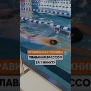 Плыву Кролем И Брасом
