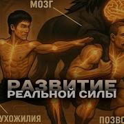 Статическая Нагрузка Спасёт Твоё Тело