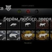 Взлом Wild Animals Online Ещё Круче