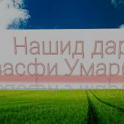 Нашиди Точики Дар Васфи Умар Ибнал Хаттоб