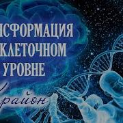 Крайон Путь Обретения Рая На Земле Техники Для Квантового Перехода