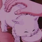 Sad Lofi Boy Calm Lofi Kitten