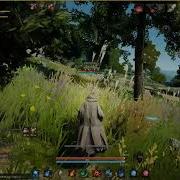 Black Desert Сбор Аромат Календулы