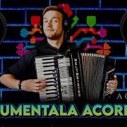 Muzica Moldoveneste La Acordeon