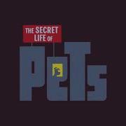 Смешные Моменты Из Тайная Жизнь Домашних Животных The Secret Life Of Pets