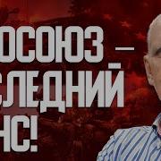 Америка Кинула Европа Вытянет Мирный План Макрона Оон Игра В Поддавки Оружие Или Смерть