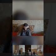 Вся Правда Раскрывается Через Вселенский Разум