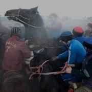 Манас Ниязов Улакты Кызуу Баштады