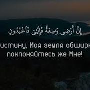 Сура 29 Паук Аяты 56 57 Чтец Абдур Рахман Аль Мас Ад