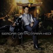 Serdar Ortaç Kara Kedi