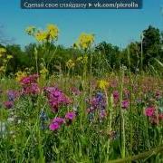 Каникулы Строгого Режима Саундтрек Wmv