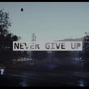 Need For Speed Never Give Up