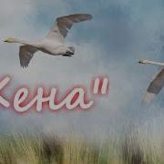 Юрий Краснопёров Ты Поспи Жена