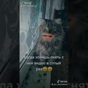 Подсказать Что То Женщина Нужна Подсказка