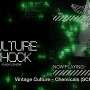 Vintage Culture Culture Shock