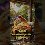 Открытки С Добрым Утром