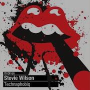 Stevie Wilson Behaviour Originalmix