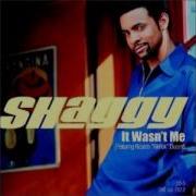 Clássicos Do Hip Hop Shaggy It Wasn T Me Hq 320 Kbps