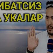 Шукуруллох Домла Ака Ука Хакида Тасирли Масала