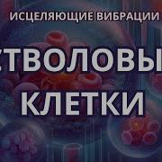 Квантовое Омоложение Создание Стволовых Клеток