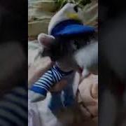 Мягкая Игрушка Волк Из Ну Погоди