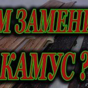 Охотничьи Лыжи Чем Заменить Камус