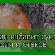 Ладан Избавит Суставы От Боли И Отеков