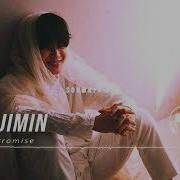 Promise Jimin Remix 8D