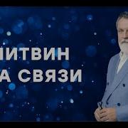 Литвин Стратегия 2025