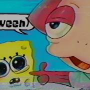 Noodly Music Spongebob