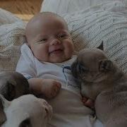 Animals Love Babies Cute Babies Animals Compilation