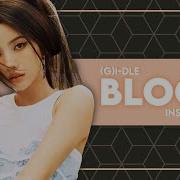 Bloom Gidle Instrumental