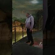 Зачем Мы Здесь Предчувствие У Меня Плохое