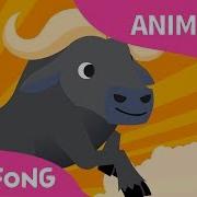 Pinkfong Hola Buffalo