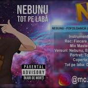 Nebunu Fofoloanca Feat Punctu G Bisi