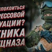 Спецназ Психология Воли