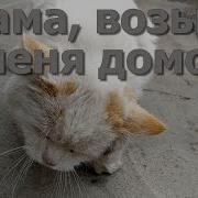 Мама Возьми Меня Обратно