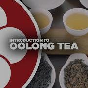 Oolong