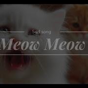 Meow Meow Meow Tik Tok