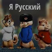 Бурундуки Я Русский