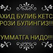 Сиз Излаган Нашид Шахид Булиб Кетсак Рози Булингиз