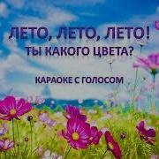 Лето Лето Лето Ты Какого Цвета Скачать Текст