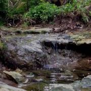 Видеофон Маленький Лесной Водопад