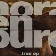 Nora En Pure True Radio Mix