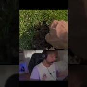 Симпл Он Меня Прошил